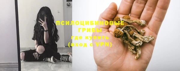 ALPHA PVP Вяземский