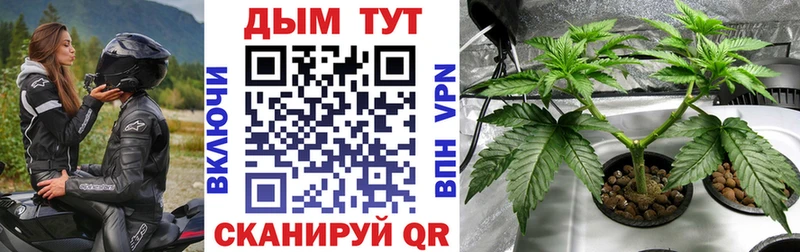 MEGA зеркало  Калуга  Канабис Amnesia  купить закладку 
